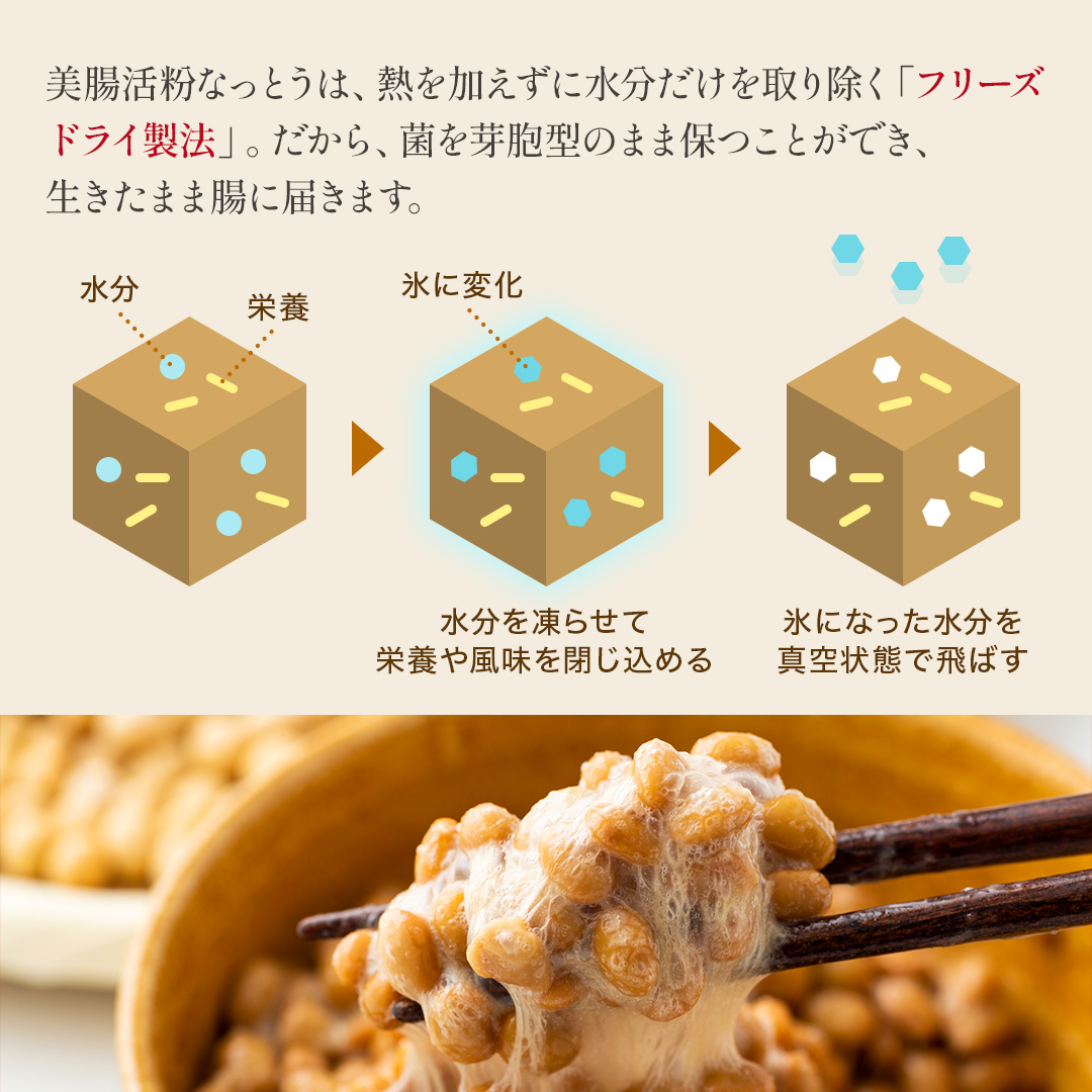 なっとう様 楽天市場】粉納豆 粉なっとう 国産大豆100％ 納豆 納豆菌 粉末